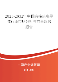 2025-2031年中國(guó)有接頭電導(dǎo)體行業(yè)市場(chǎng)分析與前景趨勢(shì)報(bào)告