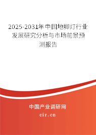 2025-2031年中國地腳燈行業發展研究分析與市場前景預測報告