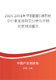 2025-2031年中國國際通用航空行業發展研究分析與市場前景預測報告