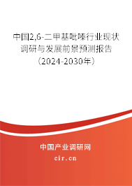 中國2,6-二甲基吡嗪行業現狀調研與發展前景預測報告（2024-2030年）