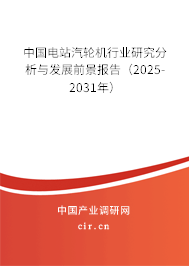 中國電站汽輪機行業研究分析與發展前景報告（2025-2031年）
