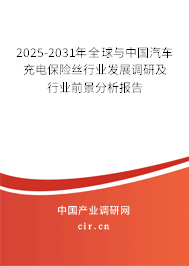 2025-2030年全球與中國汽車充電保險絲行業發展調研及行業前景分析報告