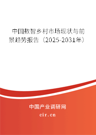 中國數智鄉村市場現狀與前景趨勢報告（2025-2031年）