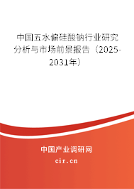 中國五水偏硅酸鈉行業研究分析與市場前景報告（2025-2031年）