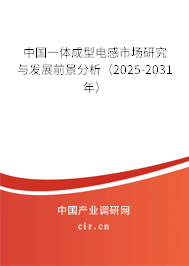 中國一體成型電感市場研究與發(fā)展前景分析（2025-2031年）