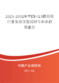 2025-2031年中國H13模具鋼行業發展深度調研與未來趨勢報告