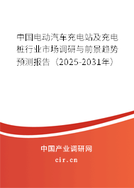 中國電動汽車充電站及充電樁行業市場調研與前景趨勢預測報告（2025-2031年）