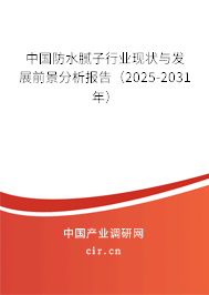 中國防水膩子行業現狀與發展前景分析報告（2025-2031年）