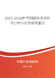 2025-2031年中國服裝發展現狀分析與前景趨勢報告