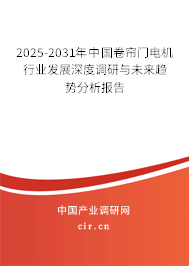 2024-2030年中國卷簾門電機行業發展深度調研與未來趨勢分析報告