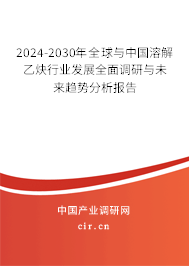 2024-2030年全球與中國溶解乙炔行業發展全面調研與未來趨勢分析報告
