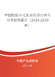 中國智能卡IC發展現狀分析與前景趨勢報告（2024-2030年）