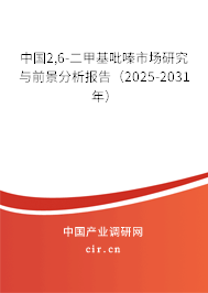 中國2,6-二甲基吡嗪市場研究與前景分析報告（2025-2031年）