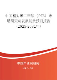 中國精對苯二甲酸（PTA）市場研究與發展前景預測報告（2025-2031年）
