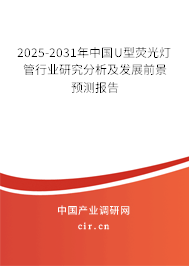 2025-2031年中國U型熒光燈管行業(yè)研究分析及發(fā)展前景預(yù)測報告