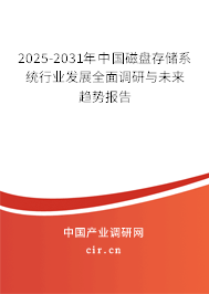 2025-2031年中國磁盤存儲系統行業發展全面調研與未來趨勢報告