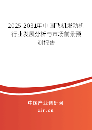 2025-2031年中國飛機發動機行業發展分析與市場前景預測報告