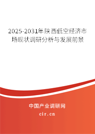 2025-2031年陜西低空經(jīng)濟(jì)市場現(xiàn)狀調(diào)研分析與發(fā)展前景