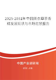 2025-2031年中國薰衣草茶香精發展現狀與市場前景報告
