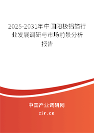 2024-2030年中國陽極鋁箔行業發展調研與市場前景分析報告
