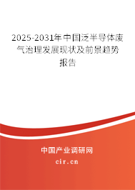 2025-2031年中國泛半導體廢氣治理發展現狀及前景趨勢報告