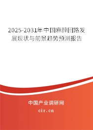 2025-2031年中國麻醉回路發展現狀與前景趨勢預測報告