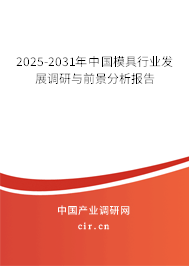 2025-2031年中國模具行業發展調研與前景分析報告