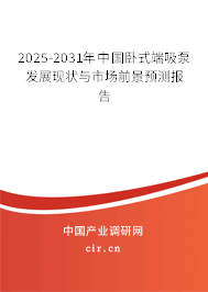 2025-2031年中國臥式端吸泵發展現狀與市場前景預測報告