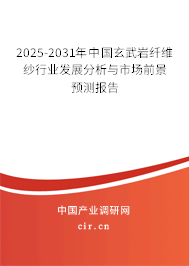 2025-2031年中國玄武巖纖維紗行業發展分析與市場前景預測報告