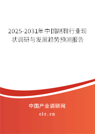 2025-2031年中國制鞋行業現狀調研與發展趨勢預測報告