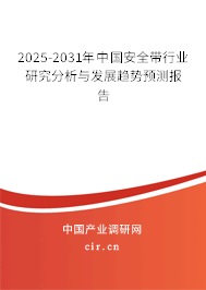 2025-2031年中國安全帶行業研究分析與發展趨勢預測報告