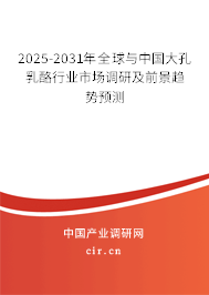 2024-2030年全球與中國大孔乳酪市場深度調(diào)研與發(fā)展趨勢分析報告