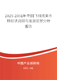 2025-2031年中國(guó)飛機(jī)線束市場(chǎng)現(xiàn)狀調(diào)研與發(fā)展前景分析報(bào)告