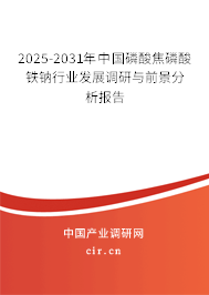 2025-2031年中國磷酸焦磷酸鐵鈉行業發展調研與前景分析報告