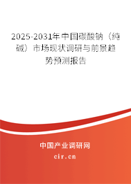 2025-2031年中國碳酸鈉（純堿）市場現狀調研與前景趨勢預測報告