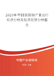 2025年中國氯酸鈉產(chǎn)業(yè)運行現(xiàn)狀分析及投資前景分析報告