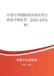 全球與中國保姆發展現狀分析及市場前景（2024-2030年）