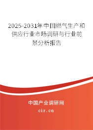 2025-2031年中國燃氣生產(chǎn)和供應行業(yè)市場調(diào)研與行業(yè)前景分析報告