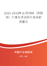 2025-2031年云南純堿（碳酸鈉）行業現狀調研與發展趨勢報告