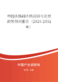 中國多路閥市場調研與前景趨勢預測報告（2025-2031年）