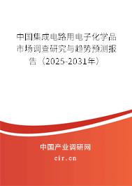 中國(guó)集成電路用電子化學(xué)品市場(chǎng)調(diào)查研究與趨勢(shì)預(yù)測(cè)報(bào)告（2025-2031年）
