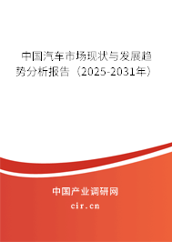 中國(guó)汽車市場(chǎng)現(xiàn)狀與發(fā)展趨勢(shì)分析報(bào)告（2025-2031年）