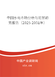 中國水電市場分析與前景趨勢報告（2025-2031年）