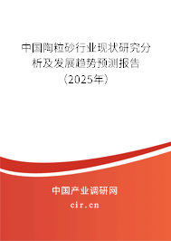 中國陶粒砂行業現狀研究分析及發展趨勢預測報告（2025年）