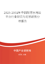 2024-2030年中國智慧水利云平臺行業(yè)研究與前景趨勢分析報告