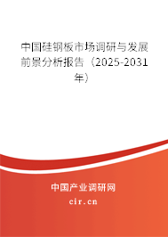 中國硅鋼板市場調研與發展前景分析報告（2025-2031年）