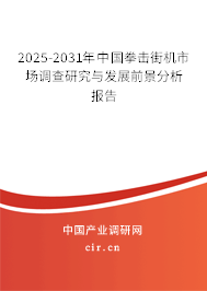 2025-2031年中國拳擊街機市場調查研究與發展前景分析報告