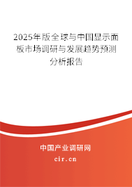 2024年版全球與中國顯示面板市場調研與發展趨勢預測分析報告
