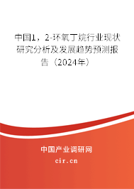 中國1，2-環(huán)氧丁烷行業(yè)現(xiàn)狀研究分析及發(fā)展趨勢預(yù)測報告（2024年）