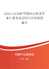2025-2031年中國電動揀選叉車行業發展調研與前景趨勢報告